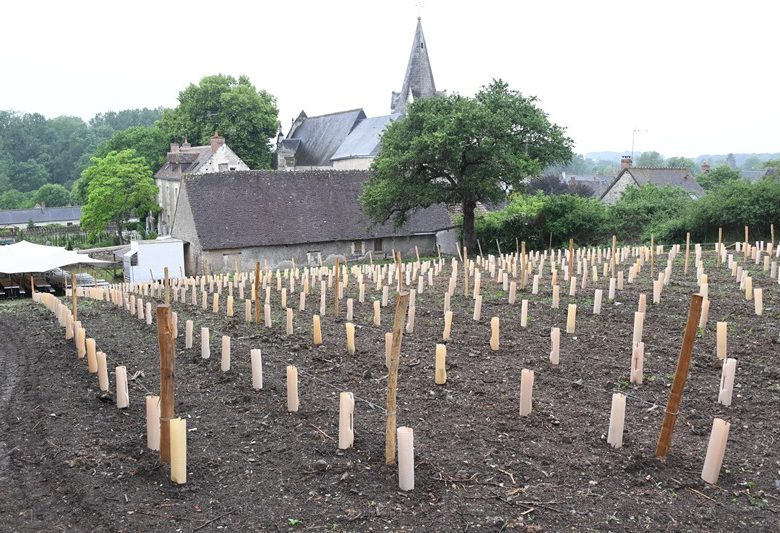 Chédigny village jardin « Jardin Remarquable » et fleur d’or