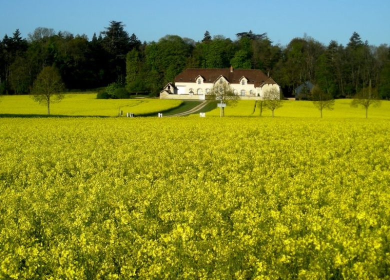 Domaine de la Maison Neuve