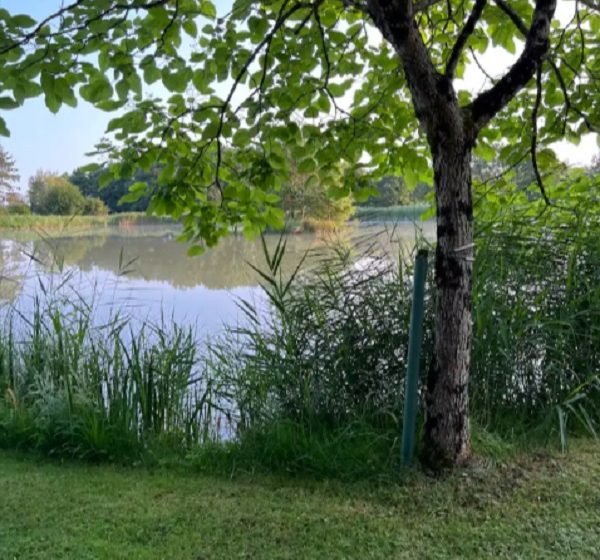 Maison avec plan d’eau Chez Anne et Jérôme