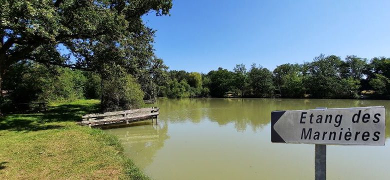 Etang communal des Marnières