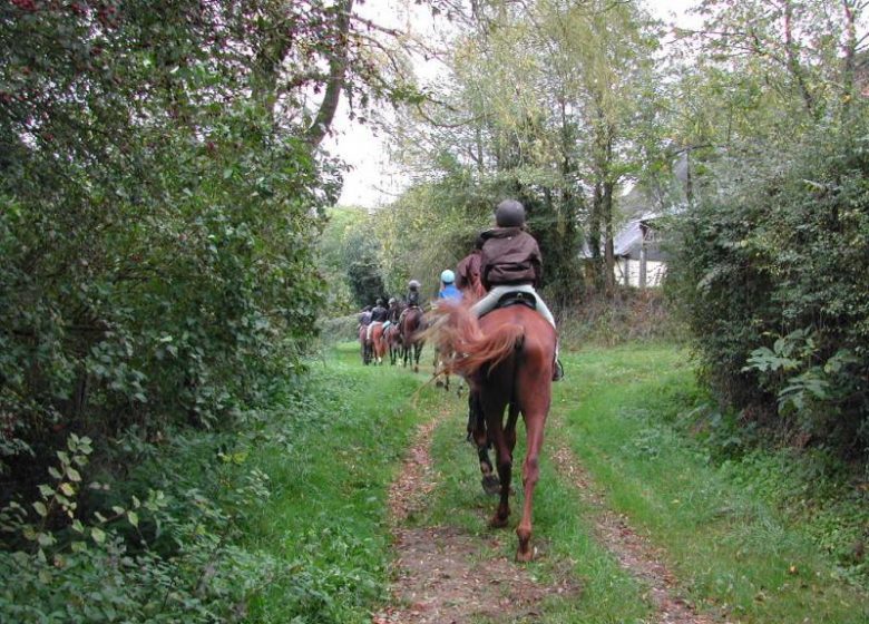 Haras des Courtillets