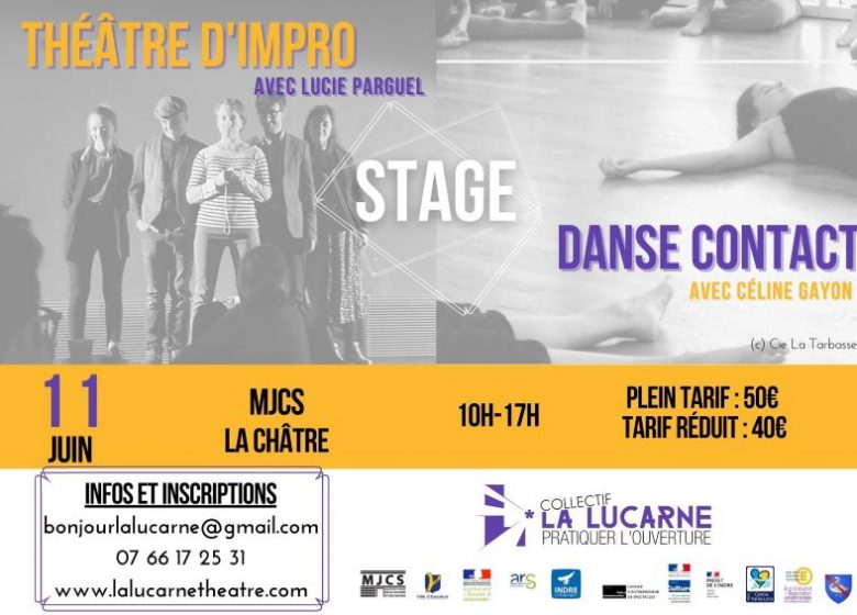 Stage bi-disciplinaire d’impro et de danse contact