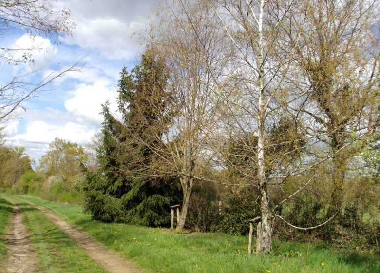 Circuit pédestre n° 24 « la campagne au fil des siècles »